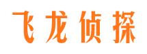 元阳飞龙私家侦探公司